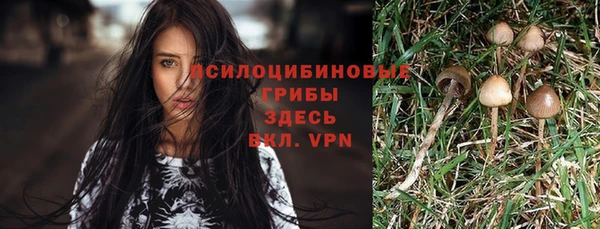 ECSTASY Балахна