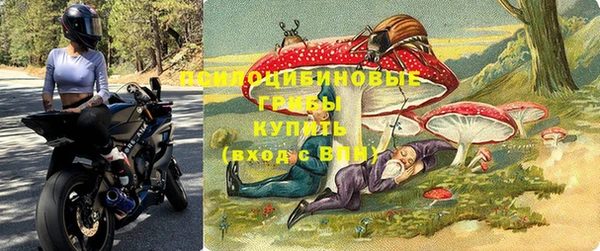 ECSTASY Балахна