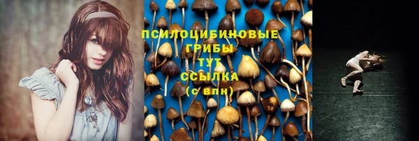 МДПВ Балабаново