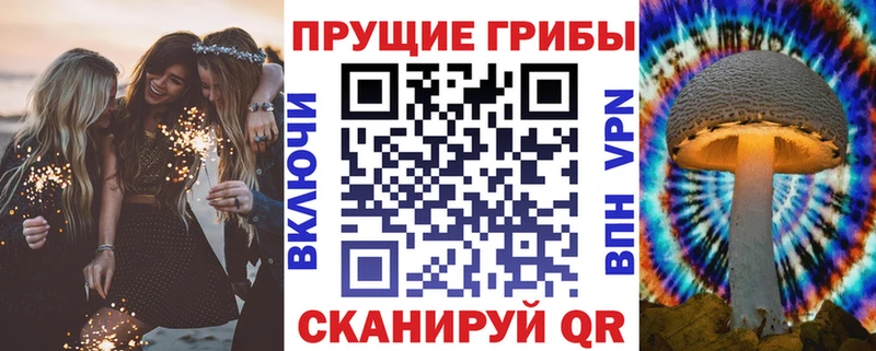 Галлюциногенные грибы Cubensis Лесной
